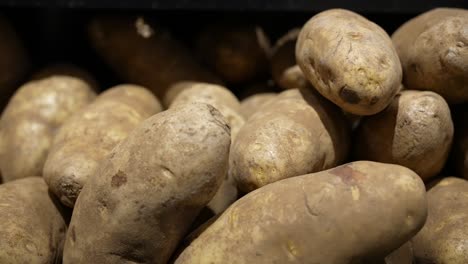Large,-Idaho-organic-russet-potatoes-in-a-big-pile-at-the-farmer's-market---sliding-isolated-close-up-view