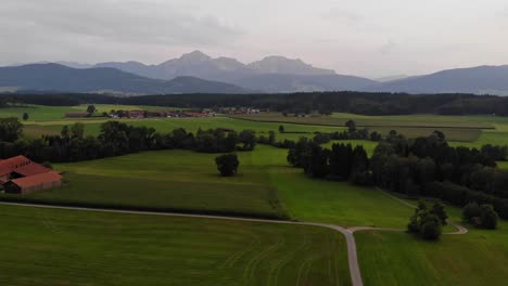 Aerial-tilt-up-of-rural-road-between-green-fields-revealing-alpine-landscape