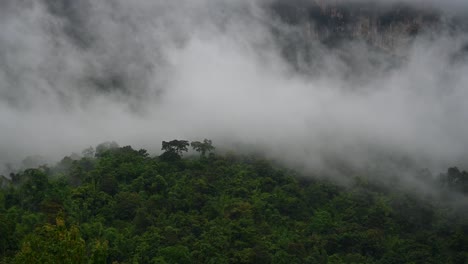 Fog-moving-to-the-left-partially-covering-the-rainforest-in-Sai-Yok,-Kanchanaburi,-Thailand
