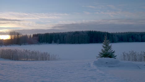 Verschneite-Landschaft-Mit-Einzelner-Tanne-Vor-Einem-Zugefrorenen-See-Während-Des-Sonnenuntergangs