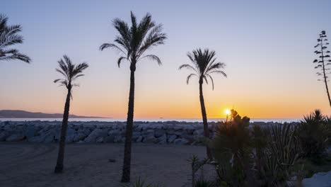 Sun-rising-over-the-rocky-pier-of-puerto-banus-with-palm-trees-in-forground