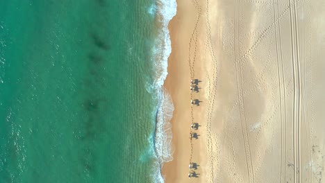 Overhead-view-of-horse-expedition-in-the-beach-with-people-riding,-above-top-down-aerial,-Melides-Portugal