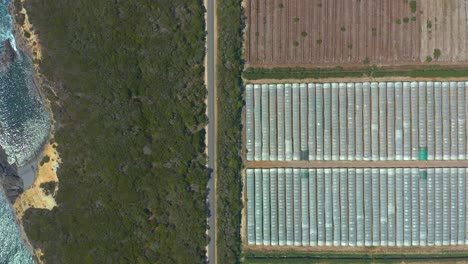 Deforestation-of-nature-near-beach-for-the-construction-of-greenhouses-Alentejo-Portugal,-overhead-aerial-view
