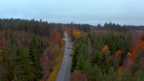 Aerial-follow-Car-driving-along-Countryside-road-in-a-dense-pine-forest,-Sweden