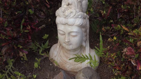 The-white-marble-bust-of-buddha-sits-among-the-plants-and-stones-of-a-garden