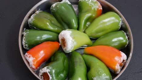 Peppers-stuffed-with-rice