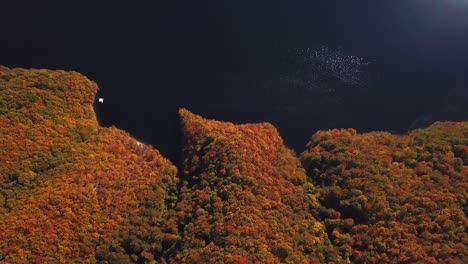 Forward-drone-shot,-top-view,-of-lake-Tarnita,-Romania,-surrounded-by-colorful-autumn-trees