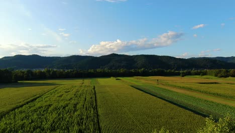 Farm-fields-near-the-Sava-and-Ljubljanica-river-confluence-east-of-the-capital-city-of-Ljubljana-Slovenia,-Aerial-drone-flyover-reveal-shot