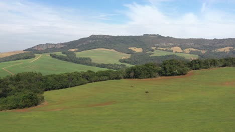 Malerischer-Panoramablick-Auf-Die-Hügelige-Landschaft,-Grüne-Felder-Mit-Grünem-Gras-Und-Pferden-Mit-Jungtier