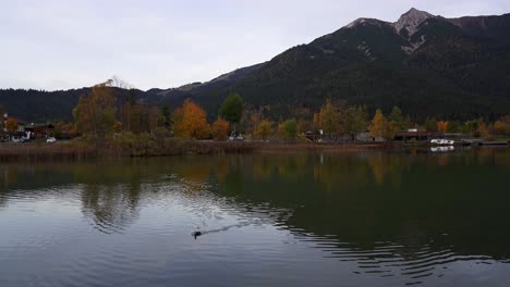Toma-Panorámica-De-Wildsee-Un-Lago-Tranquilo-En-Otoño-Que-Refleja-Las-Montañas-De-Los-Alpes-En-Seefeld-En-Tirol,-Austria