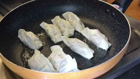 fried-pork-dumpling-or-gyoza-on-pan