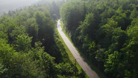 Views-of-an-incredible-hidden-road-through-the-middle-of-a-German-forest-where-a-vehicle-is-crossing-it-in-the-town-of-Weibersbrunn