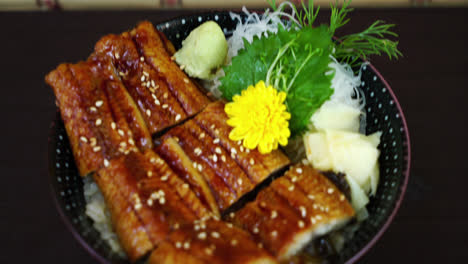 eel----Japanese-food-style