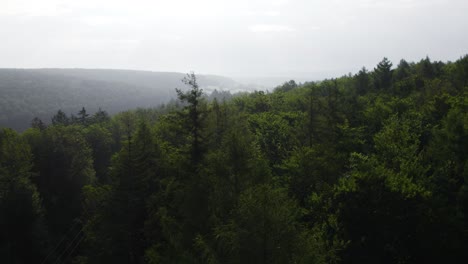 Drone-aerial-bird-eye-view-over-German-forest-wilderness-where-a-small-road-passes-through-the-wonderful-forest