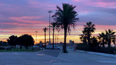 Perfect-sunrise-landscape-with-beautiful-clouds-and-silhouette-of-some-palm-trees-with-people-driving-cars-in-backgrounds-in-Cascais