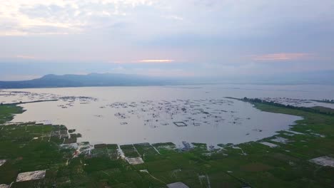 Luftaufnahme-Des-Fischkäfigs-Auf-Dem-See,-Umgeben-Von-Reisfeldern,-Während-Des-Sonnenaufgangshimmels---Rawa-Pening-Lake,-Indonesien