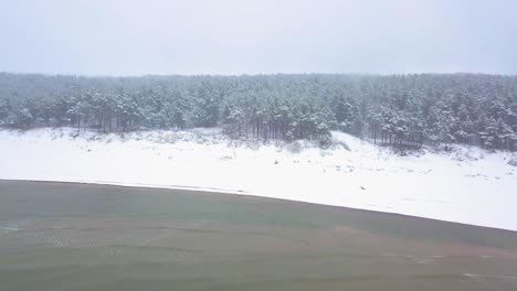 Beautiful-aerial-footage-of-trees-covered-with-snow,-light-snow-falling,-Nordic-woodland-pine-tree-forest,-Baltic-sea-coast,-wide-establishing-drone-shot-moving-forward-from-the-sea