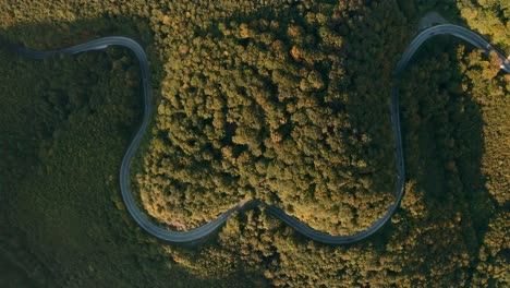 Aerial-zoom-in-view-drone-footage-of-cars-driving-on-a-heart-shaped-winding-road-in-the-middle-of-a-forest