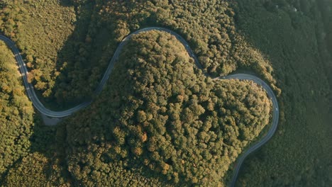 Aerial-high-angle-view-drone-footage-of-cars-driving-on-a-heart-shaped-winding-road-in-the-middle-of-a-forest