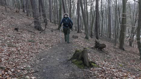 Turista-Caminando-Por-Un-Sendero-En-Un-Bosque-Explorando-El-Bosque-Durante-La-Primavera