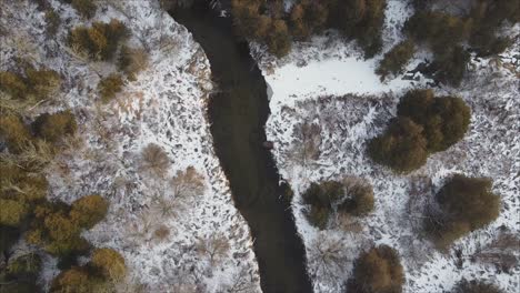 Drone-Shot-Of-River-Flowing-Through-Winter-Forest-Landscape,-Beautiful-Conifer-Trees