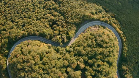 Road-trip-on-a-heart-shaped-winding-road