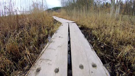 Time-lapse-of-taking-through-a-wooden-path-in-national-park-at-Scandinavia-during-spring-time