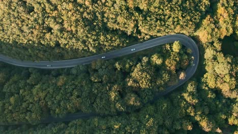 Aerial-drone-footage-of-cars-driving-on-a-u-shaped-winding-road-in-the-middle-of-a-forest