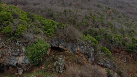 Cliffs-on-cave-entrance-on-mountain-covered-with-green-and-brown-trees-on-a-cloudy-day-at-winter,-aerial-view