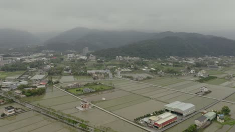 Yilan-county-aerial-pull-back-reveal-over-rice-paddy-agricultural-city-fields---settlement-in-Taiwan