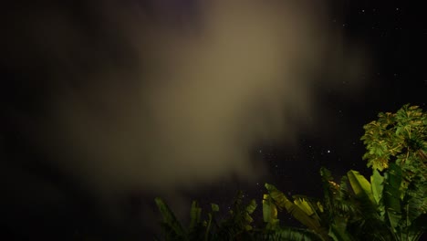 Nachtzeitraffer-Des-Himmels-Voller-Sterne-Und-Grüner-Palmblätter-Auf-Dem-Boden