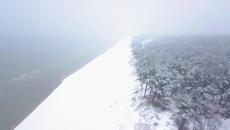 Beautiful-aerial-footage-of-trees-covered-with-snow,-light-snow-falling,-Nordic-woodland-pine-tree-forest,-Baltic-sea-coast,-wide-establishing-drone-shot-moving-forward