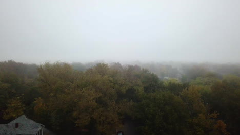 Aerial-dolly-through-dense-fog-with-autumnal-trees-in-a-neighbourhood