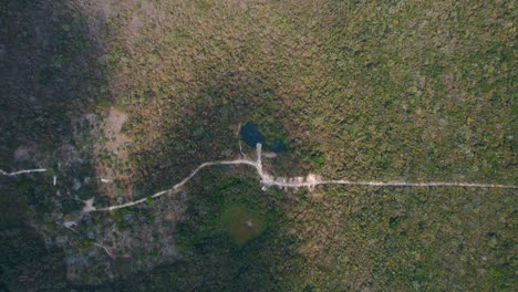 Luftbild-Von-Oben-Nach-Unten-Auf-Ein-Wasserloch-In-Tulum,-Mexiko-Mit-Wald-Ringsum