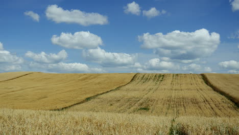 Time-lapse-of-rolling-clouds-over-a-wheat-field-in-the-country
