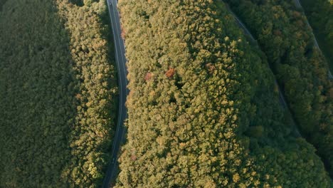 Aerial-chasing-drone-shot-of-cars-driving-on-a-winding-mountain-road-in-the-middle-of-a-forest