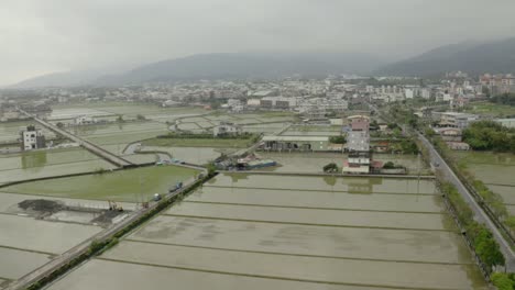Yilan-county-flooded-agricultural-panel-rice-paddy-fields-in-Taiwan