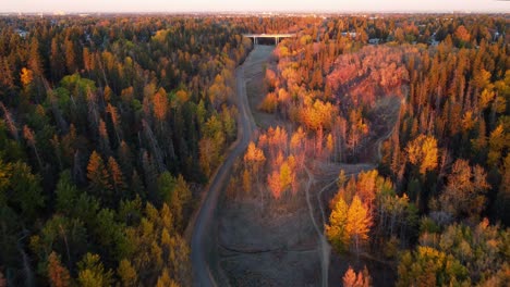 Edmonton-Drohne-Aerial-Trail-River-Valley-Im-Herbst