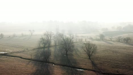 Trees-in-morning-fog,-silhouettes-on-meadow-in-sunrise,-winter-landscape-of-rural-countryside,-no-snow,-aerial-view