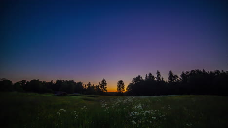 Timelapse-of-sunrise-on-green-meadow-with-forest-in-background