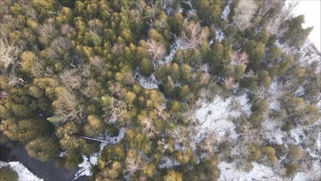 Aerial-Shot-Of-Coniferous-Forest-Surrounding-Small-River-And-Snow-Covered-Road