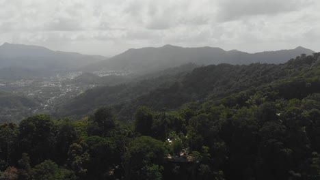 Erstaunlicher-Regenwald-Mit-Einem-Veranstaltungsort,-Der-In-Die-Klippe-An-Der-Nordküste-Von-Trinidad-Gebaut-Wurde