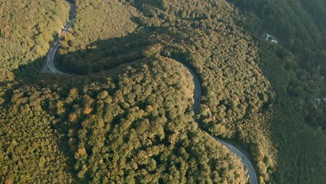 Aerial-tilt-down-drone-shot-of-cars-driving-on-a-winding-heart-shaped-mountain-road-in-the-middle-of-an-autumn-coloured-forest