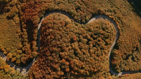 Aerial-top-down-view-drone-footage-of-cars-driving-on-a-heart-shaped-road-winding-through-the-middle-of-an-autumn-coloured-forest