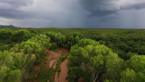 Drone-ascend-over-green-cottonwood-trees-and-river-with-dramatic-monsoon-clouds