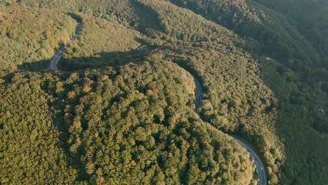 Aerial-tilt-down-drone-shot-of-cars-driving-on-a-winding-heart-shaped-mountain-road-in-the-middle-of-a-forest