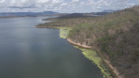 Green-Algae-On-The-Edge-Of-Park-By-Quaids-Dam,-Lake-Mitchell-In-QLD,-Australia