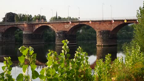 Lush-green-leaves-are-foreground-for-ancient-Roman-bridge,-Romerbrucke