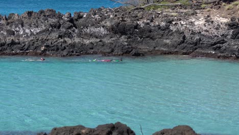 A-family-of-three-snorkeling-in-the-tropical-blue-waters-of-The-Big-Island,-Hawaii