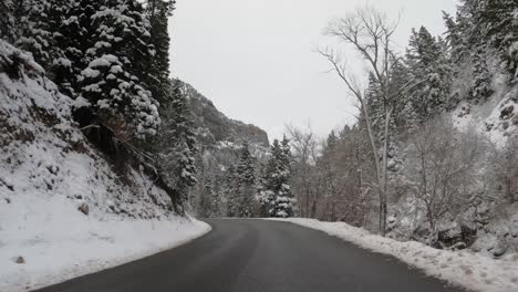 Driving-Through-Asphalt-Road-With-Snowy-Pine-Trees-In-The-Mountains-In-Utah,-USA